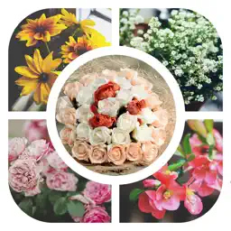 Grid Collage - Photo Art Collage - Photo Beauty - Picture Grid Collage app icon