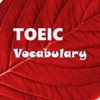 TOEIC Vocabulary Test