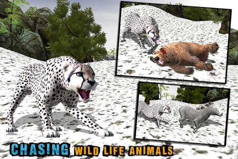 Wild Snow Leopard Simulator 3D – Big Cat Hunting & Chasing Wildlife Animals on Mountains screenshot 2