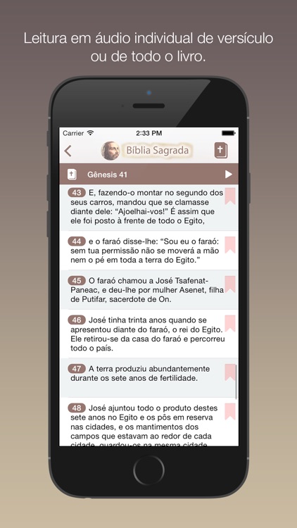 Bíblia Sagrada Lite screenshot-4
