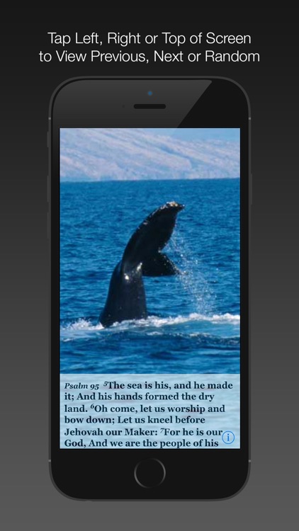 Psalm Daily Quotes ASV screenshot-4