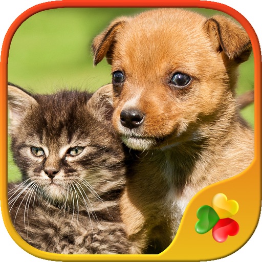 Cute Pets - Real Dogs and Cats Picture Puzzle Games for kids icon