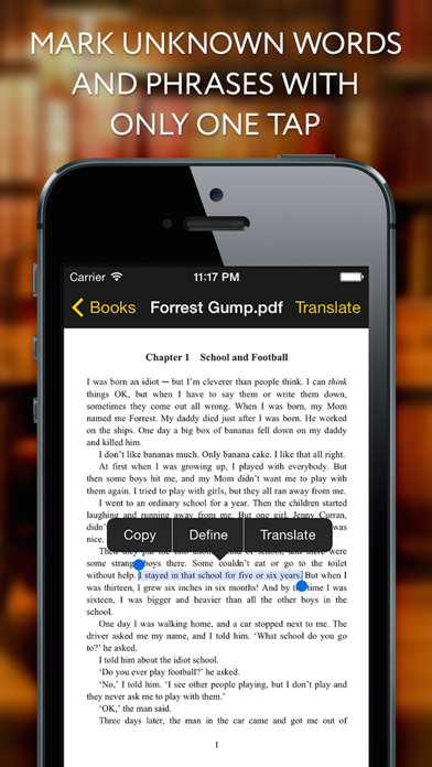 Diglot - EReader Translator for help language learners Screenshot 3