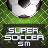 Super Soccer Sim - World Football Edition