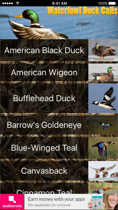 Screenshot #2 pour Waterfowl Duck Calls