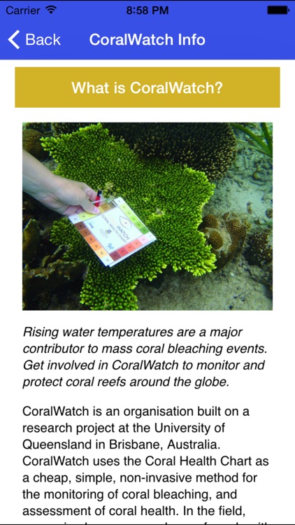 CoralWatch Info