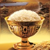 6000+ Rice Recipes