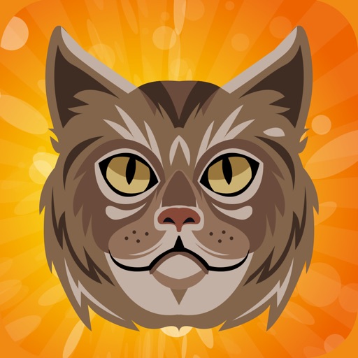 Tom Cat Dress Up Coloring Drawing and Painting for Kids Boys and Girls Icon