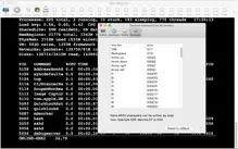 Telnet Lite iPhone image 4