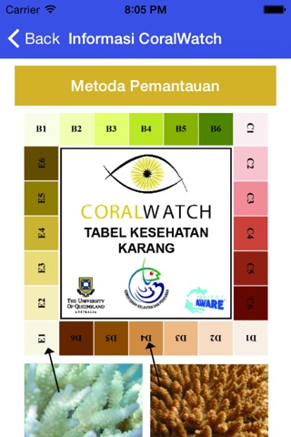 Informasi CoralWatch screenshot 4