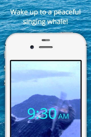 Whale Clock screenshot 3