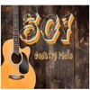 501 Country Radio