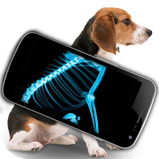 Simulator X-Ray Pet iOS App