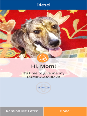 Vethical Pet Care Reminder iPad screenshot