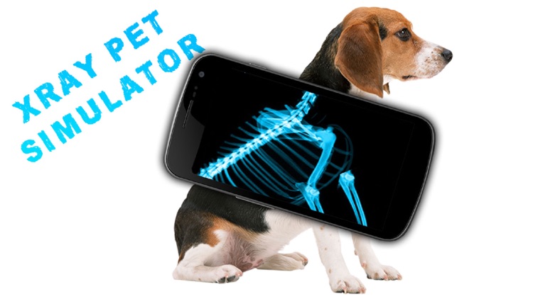 Simulator X-Ray Pet