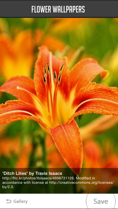 Screenshot #3 pour Flower Wallpaper