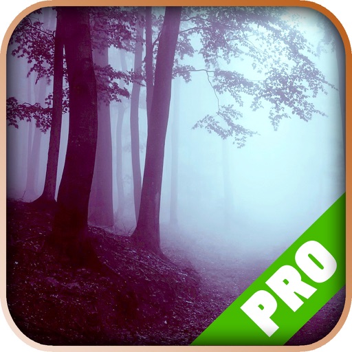 Game Pro - Bloodborne Version iOS App