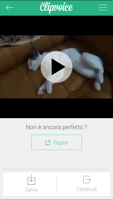 ClipVoice screenshot