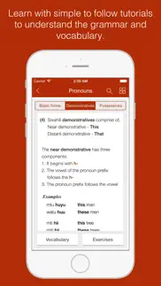 swahili primer - learn to speak and write swahili language: grammar, vocabulary & exercises iphone screenshot 2