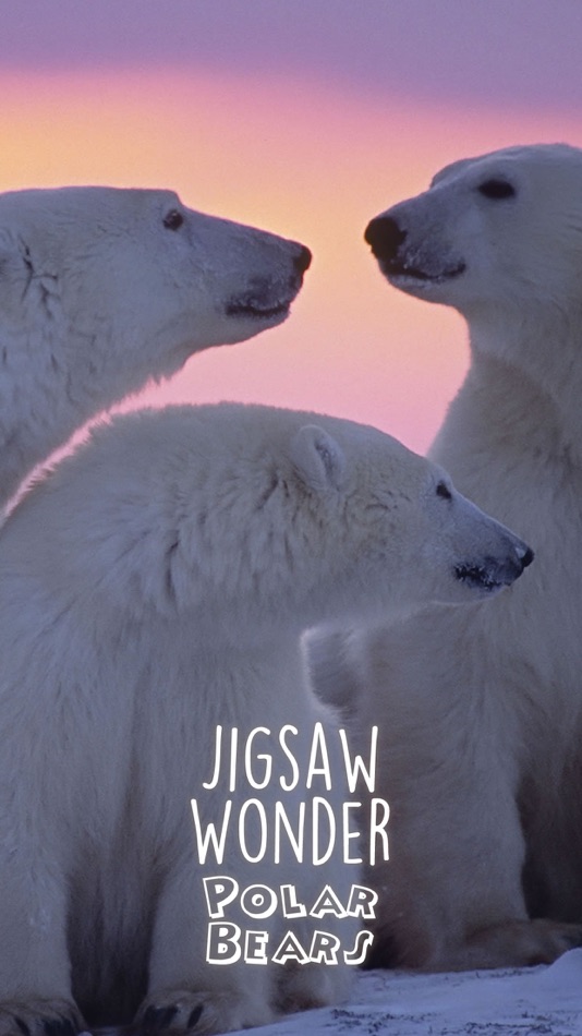Jigsaw Wonder Polar Bear Puzzles for Kids Free - 1.0 - (iOS)