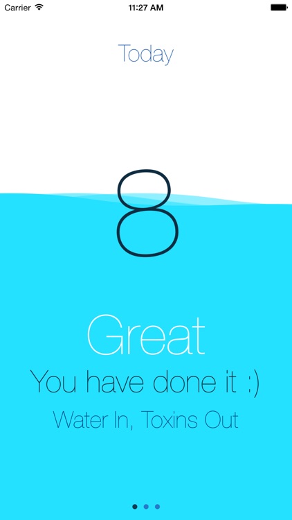 WaterApp - Water In, Toxins Out