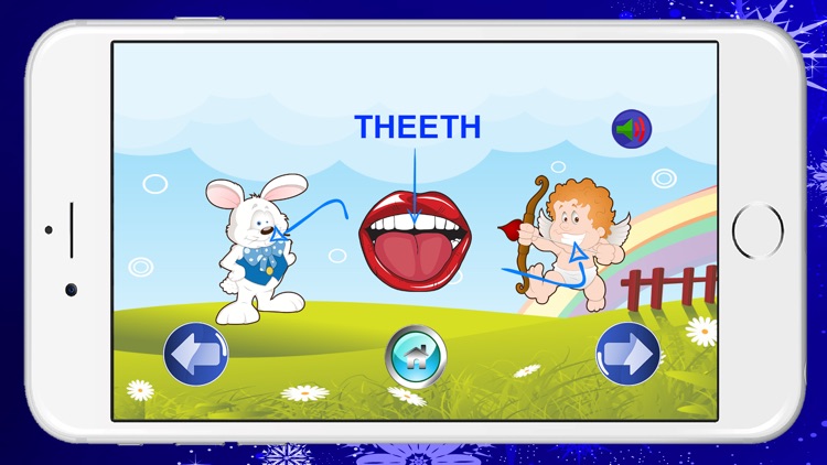 Learn English Body Listening and Speaking Free | Conversation Education for Preschool