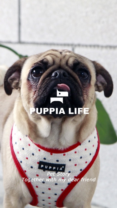 puppia life Screenshot