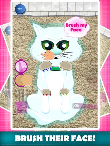 Screenshot #5 pour chats pour animaux de compagni