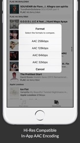 hi-blind : Blind Listening Test with High Resolution Audio screenshot