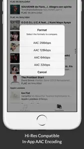 hi-blind : Blind Listening Test with High Resolution Audio screenshot #4 for iPhone