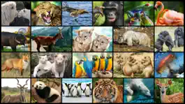 Game screenshot Amazing Wild Animals - Best Animal Picture Puzzle Games for kids mod apk