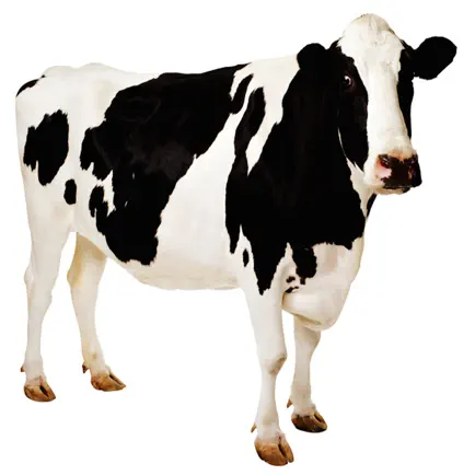 Cow Sound Effects, Ringtones, and Alarms from the Farm to You Читы