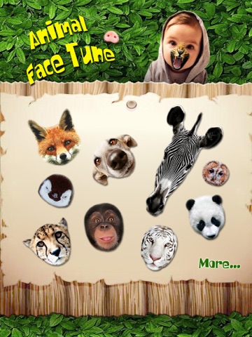 Animal Face Tune - Sticker Photo Editor to Blend, Morph and Transform Yr Skin with Wild Animal Texturesのおすすめ画像1