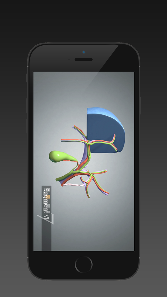 Surgical Anatomy of the Liver (iPhone) - 1.0 - (iOS)