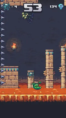 Game screenshot Temple Toad hack