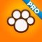 5-Star Rated app - Perfect Dog Pro