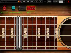 Steel Guitar iPad image 3