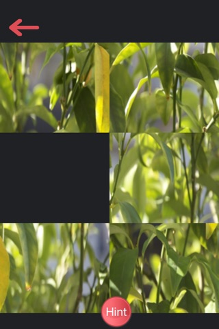 PhotoPuzzles screenshot 2