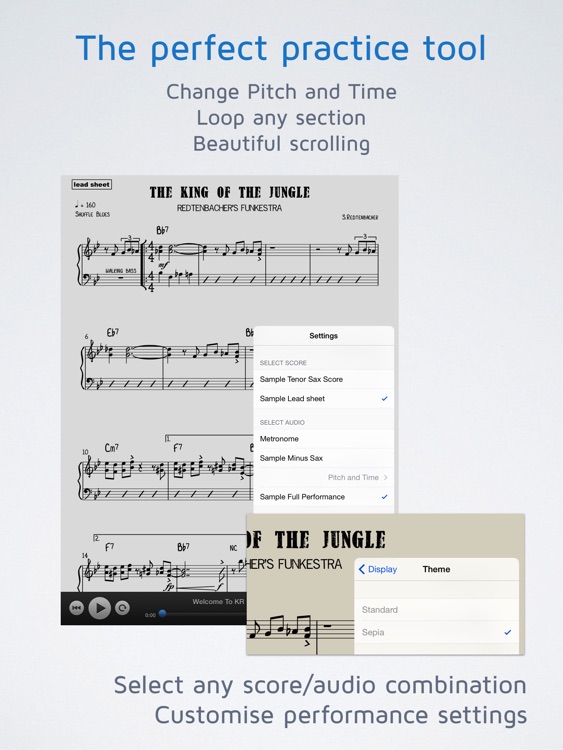 KR Player - AudioSheetMusic™ screenshot-3