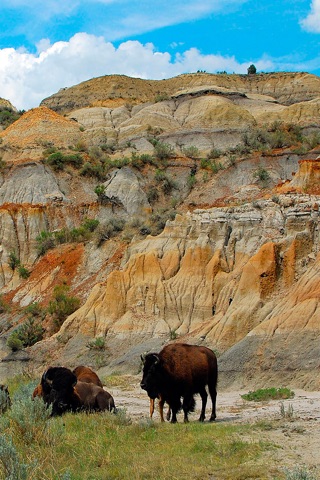 Theodore Roosevelt national park wallpapers screenshot 2