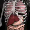Anatomy 3D: Organs contact information