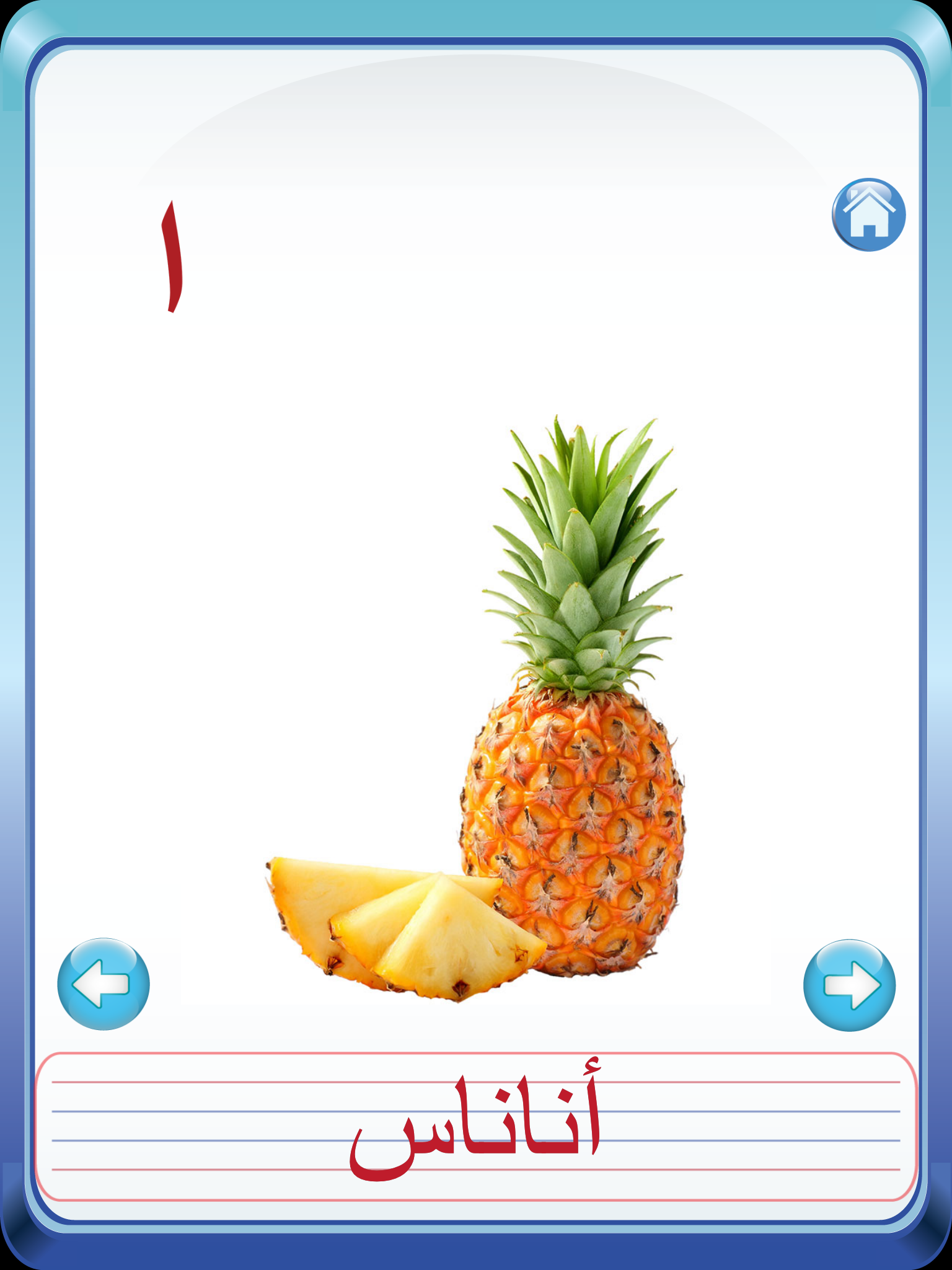 Kids Arabic Alif baa Taa Alphabets Huruf Flash Cards