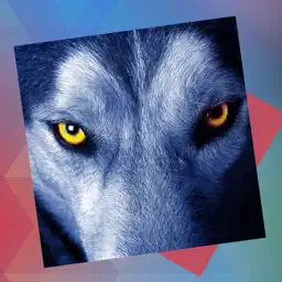 Déjà Vu - Zoo app icon