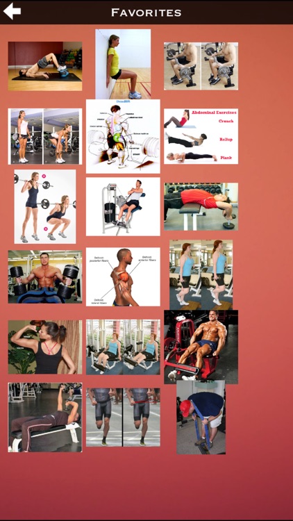Body Building Exercises