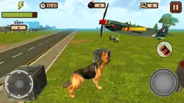 doggy dog world iphone screenshot 3