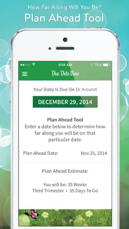 Game screenshot Due Date View - Pregnancy calculator hack