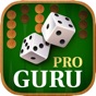 Backgammon Guru Pro app download