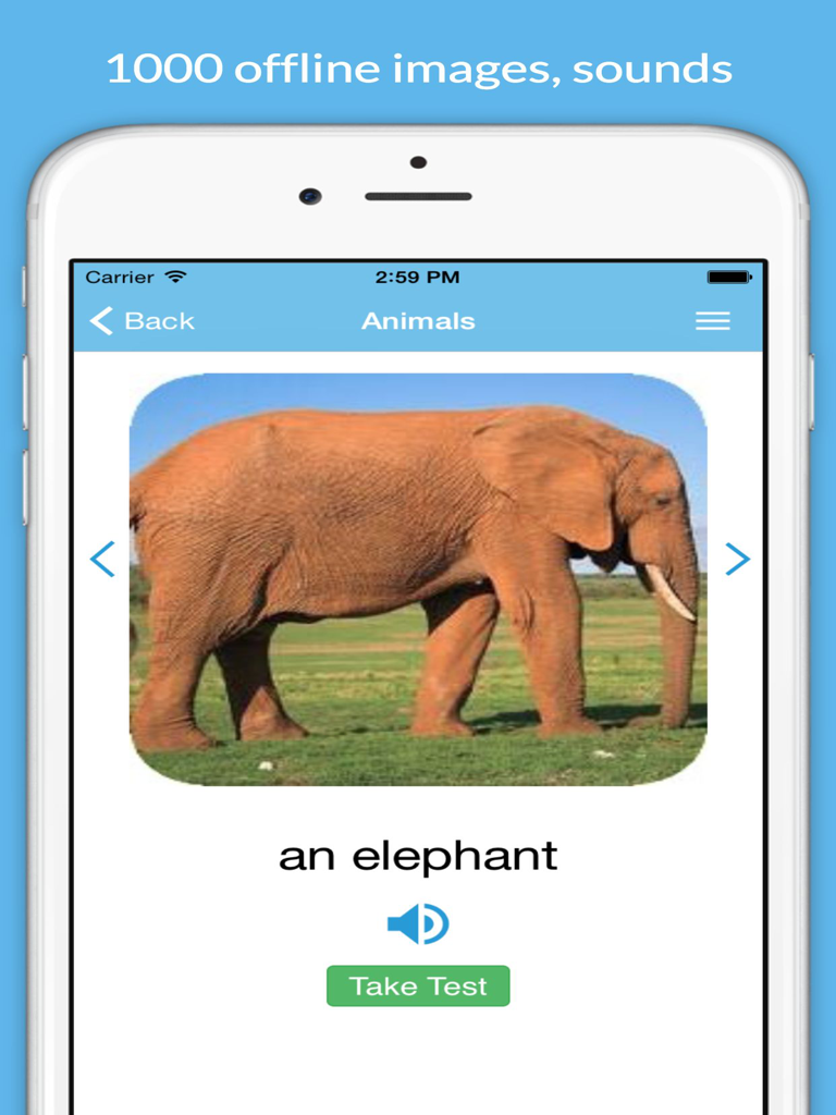 Learn English With Pictures screenshot 6