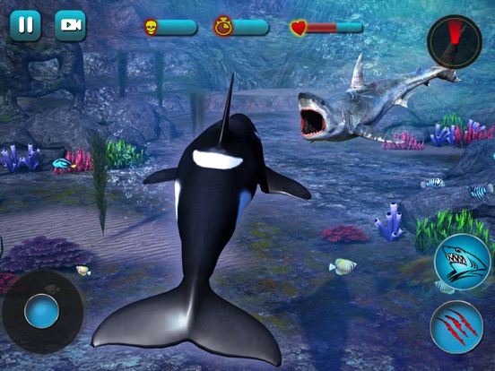 Killer Whale Beach Attack 3Dのおすすめ画像3