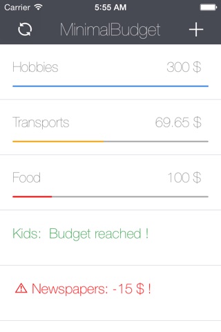 MinimalBudget screenshot 4